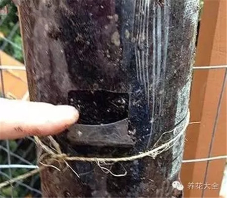 作一個開關(guān)