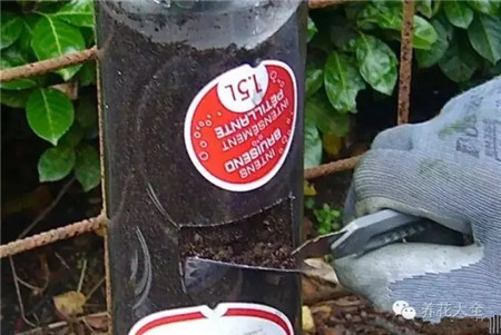 割出一個正方形窗口