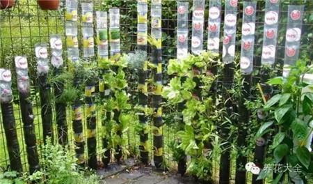 其他瓶子也這樣操作