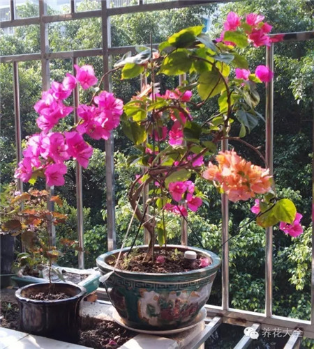 七、塑料瓶無臭漚肥