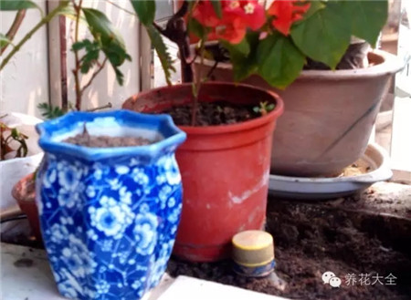 用一個塑料瓶就解決問題