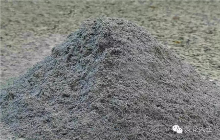 草木灰能促進發(fā)芽