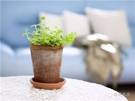 ?；ü瑴p少落蕾