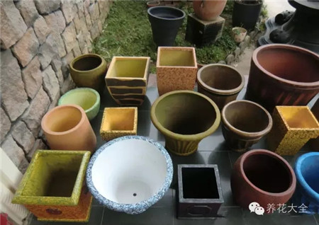 1、選擇亮色的花盆