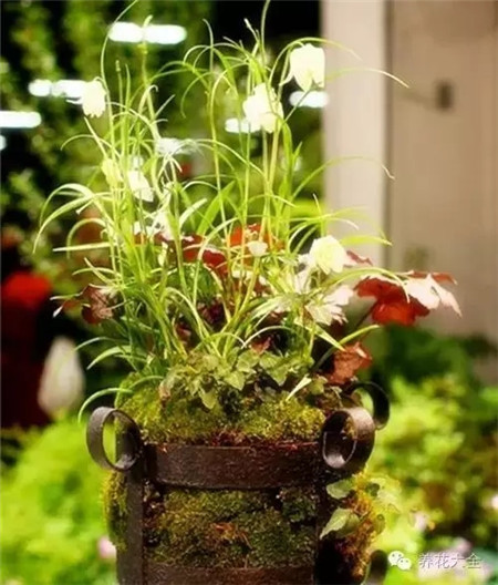 3、組合的三要素