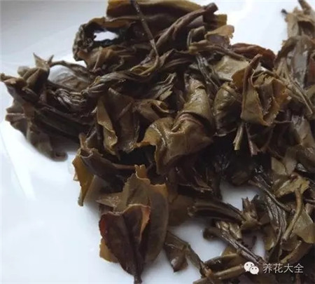 喝剩的茶葉漚肥