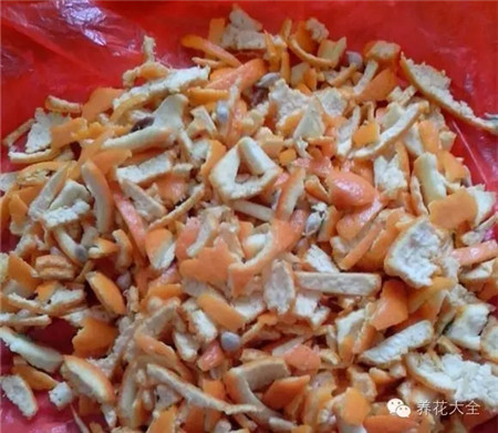 橘子皮漚肥