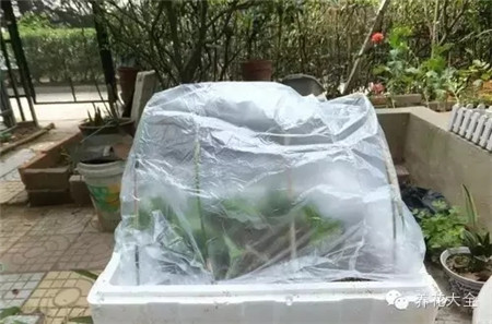 保持土壤濕潤(rùn)