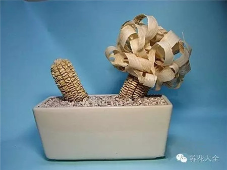 鋪上一層薄薄的小石子