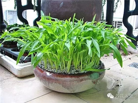 擺放到任何地方