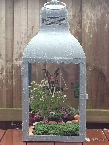 鐵皮箱里也有美麗的精致