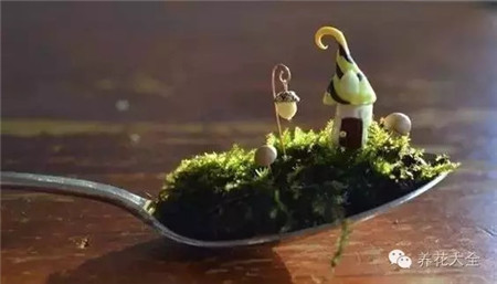 茶匙也是可以變身花園的