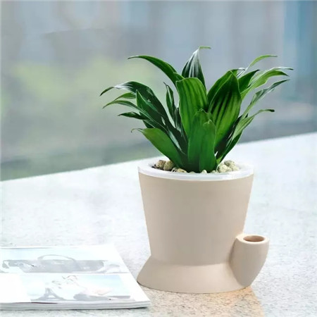 太陽(yáng)神圖片