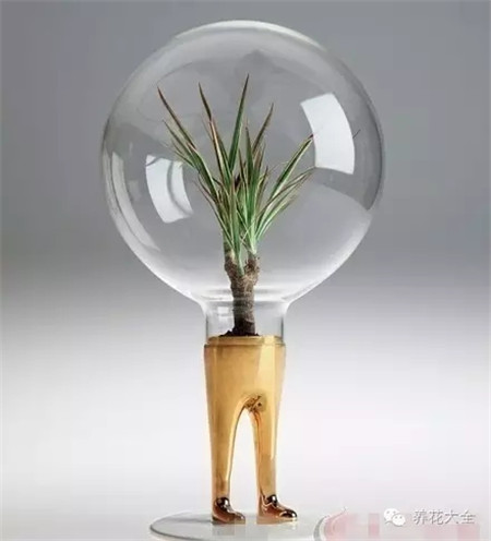 燈泡小人花盆