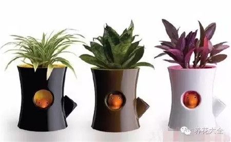 樹樁小松鼠花盆