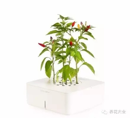 完全智能化的創(chuàng)意花盆