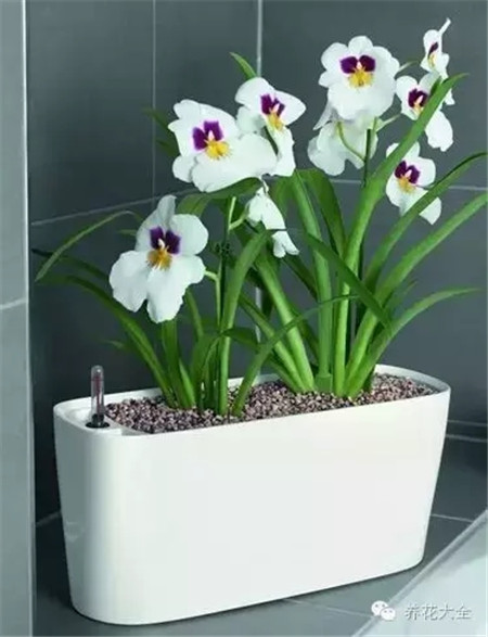 土壤肥力問(wèn)題