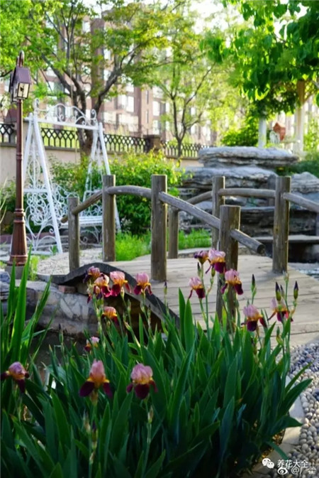 喜歡的小小花園