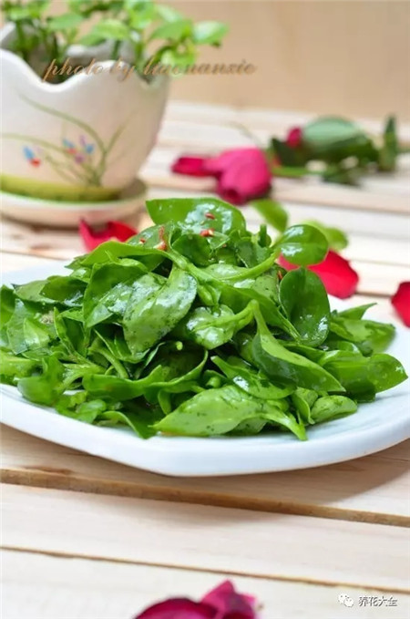 牡丹吊蘭涼拌吃