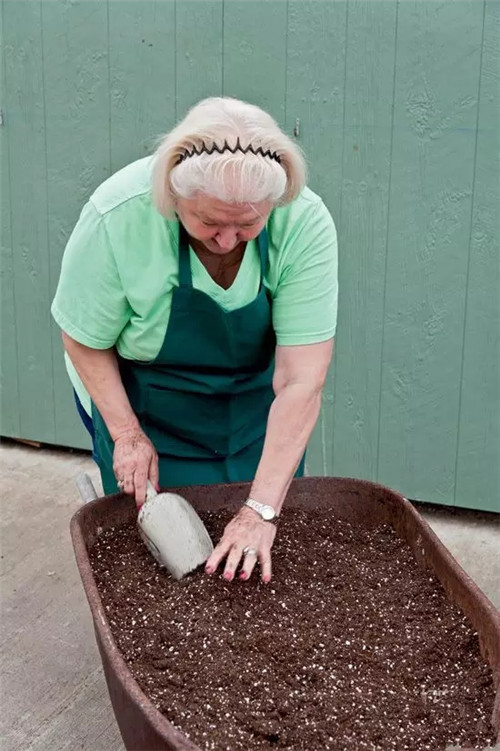 制作移動盆景步驟