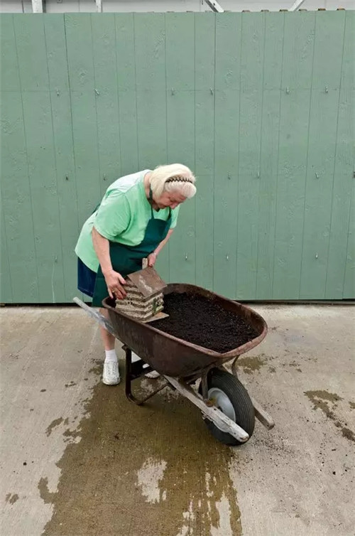 怎樣制作移動盆景