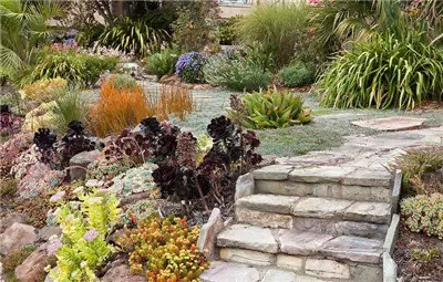 種滿(mǎn)肉的路