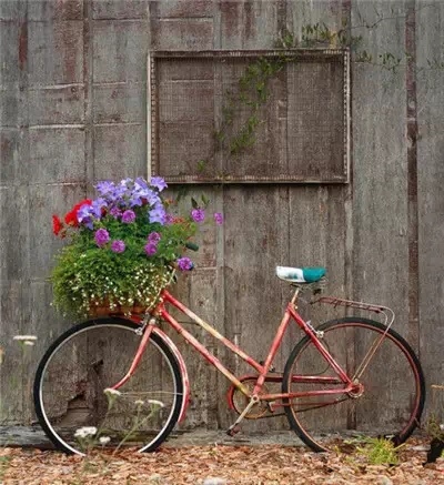 自行陳與木質(zhì)墻