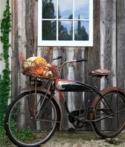 隨心所欲的搭配