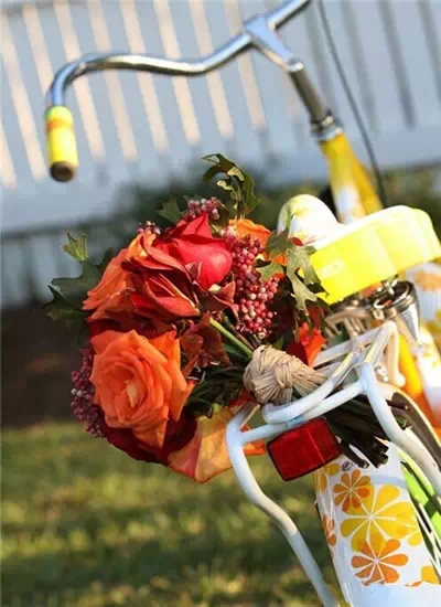 舊舊的自行車(chē)