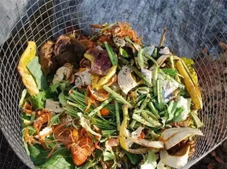 多肉常用養(yǎng)護(hù)肥料：天然有機(jī)肥