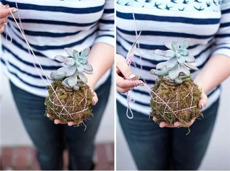 稍微晾一下，把根部的土壤清理一下。