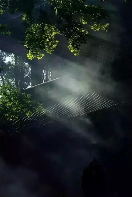 簡靜是內(nèi)心的安靜