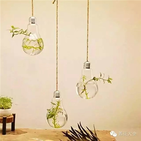 花園無處不在啊