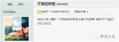 芒果種子怎么種？