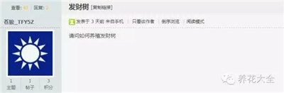 發(fā)財(cái)樹怎么養(yǎng)？