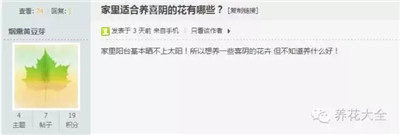 哪些植物耐陰？