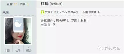 杜鵑花開花少？