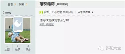 怎么區(qū)分雄蕊和雌蕊？