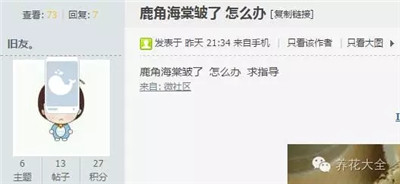 鹿角海棠皺了怎么辦？