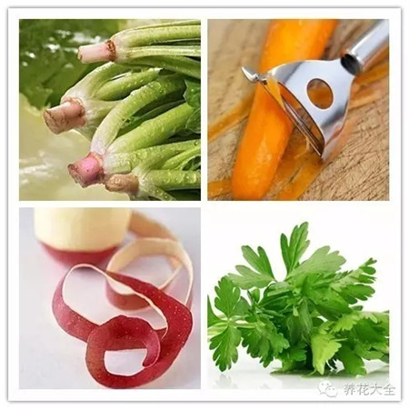 給花做個(gè)養(yǎng)生湯