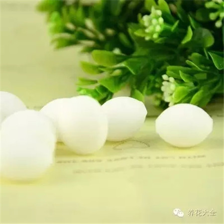 對(duì)付淘氣的貓咪