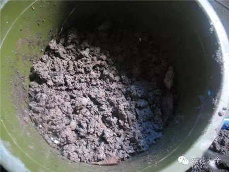 自制腐葉土過程