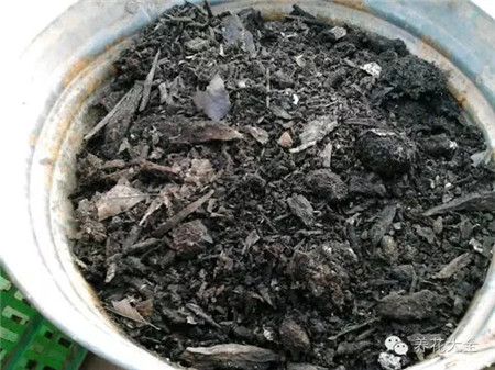 自制的腐葉土