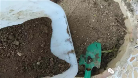 自制廚余堆肥土的過程