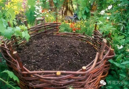 自制廚余堆肥土過程