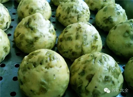 榆錢做的窩窩頭