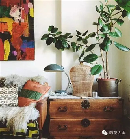 入口、廳角落、樓梯旁