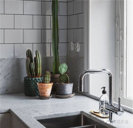 廚房——廚房有盆栽，美化有聚財(cái)