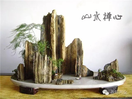 山石盆景欣賞美圖