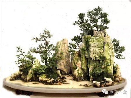 山石，盆景